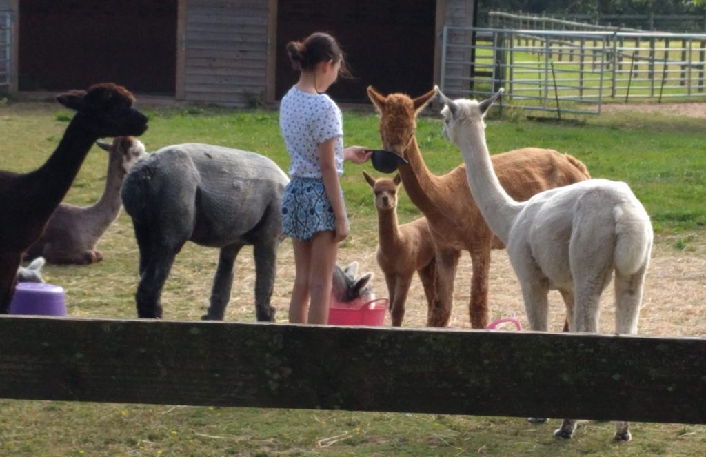 Feeding Time July 2018